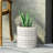 10"X10"X10" Planter - Lightweight Concrete Construction Antique White Garden Beauty Accessory 10" W X D H Porch Ornament Piece