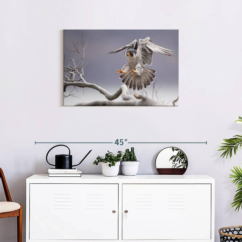 Peregrine Falcon, 20" H x 30" W