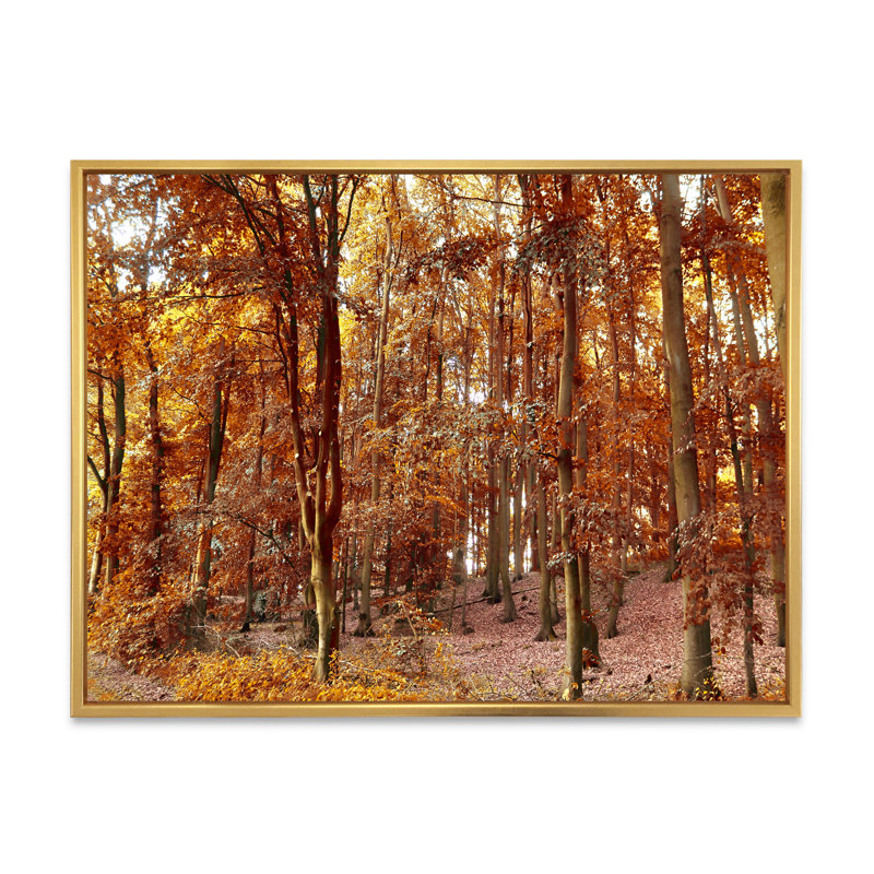 Forêt d'automne dorée - œuvre d'art traditionnelle sur toile, H 8 po x l 12 po x P 1,5 po, Cadre flottant doré