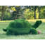 Tortue animalière extérieure