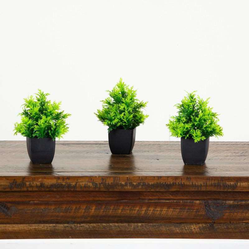 7 po Cèdre artificiel en pot carré noir - ensemble de 3