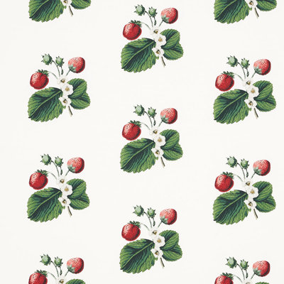 Schumacher x Johnson Hartig Strawberry Hill Fabric