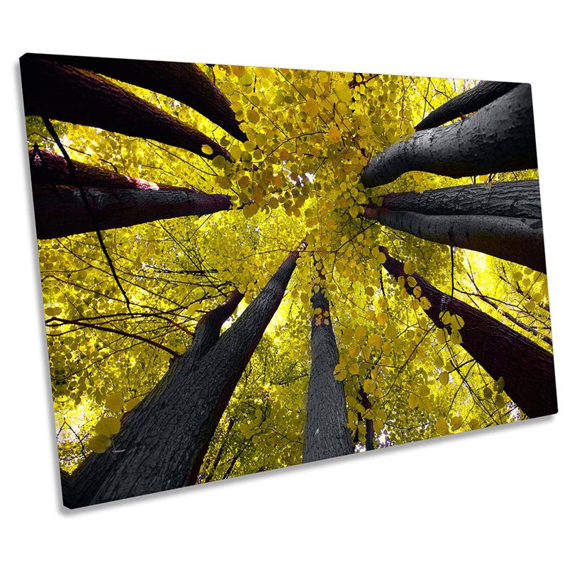 Yellow Tree Tops Floral Framed - Wrapped Canvas Print, 30.5cm H x 45.7cm W x 2cm D
