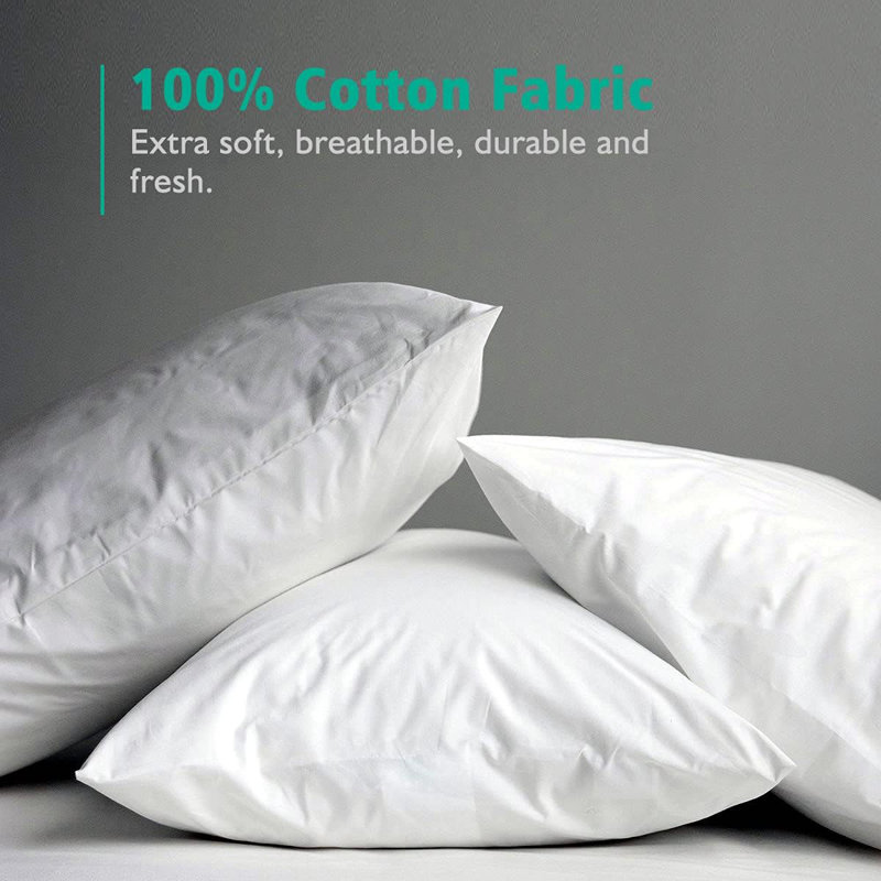 Insert de coussin décoratif décoratif en duvet de plumes avec housse en coton (ensemble de 2), H 18 po x l 18 po, 2
