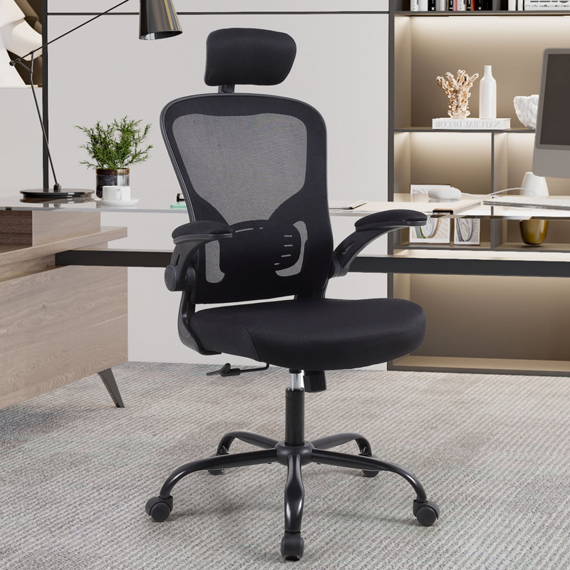 Itziar Ergonomic Desk Chair Office Chair Home Office Mesh Task Chair with Headrest