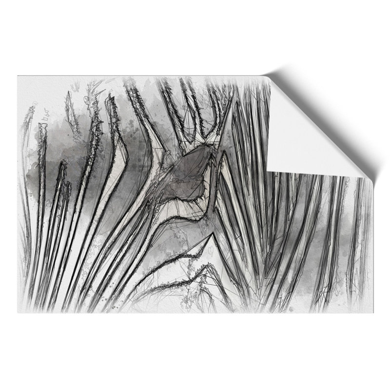 Zebra Sketch - Frameless Print, 42cm H x 59cm W x 0.1cm D