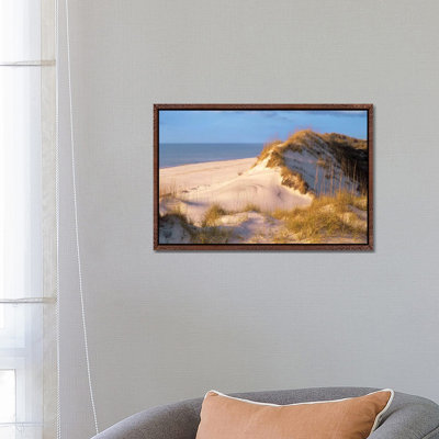 Coastal Sand Dunes, Saint Joseph Peninsula, Florida 1 Piece Wall Art on Canvas
