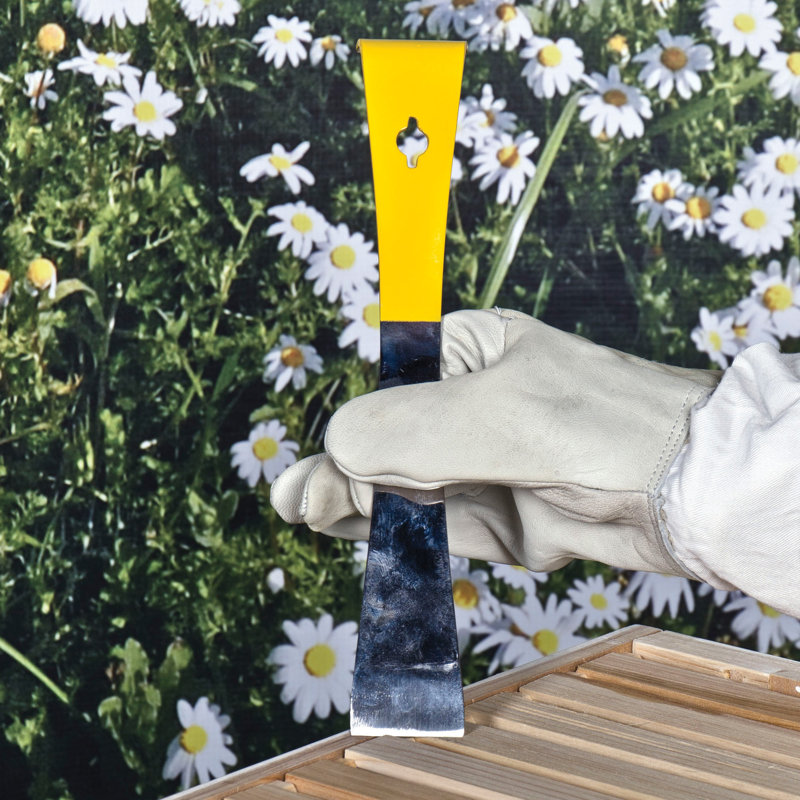 Home Harvest Beekeeping Beehive Accessory