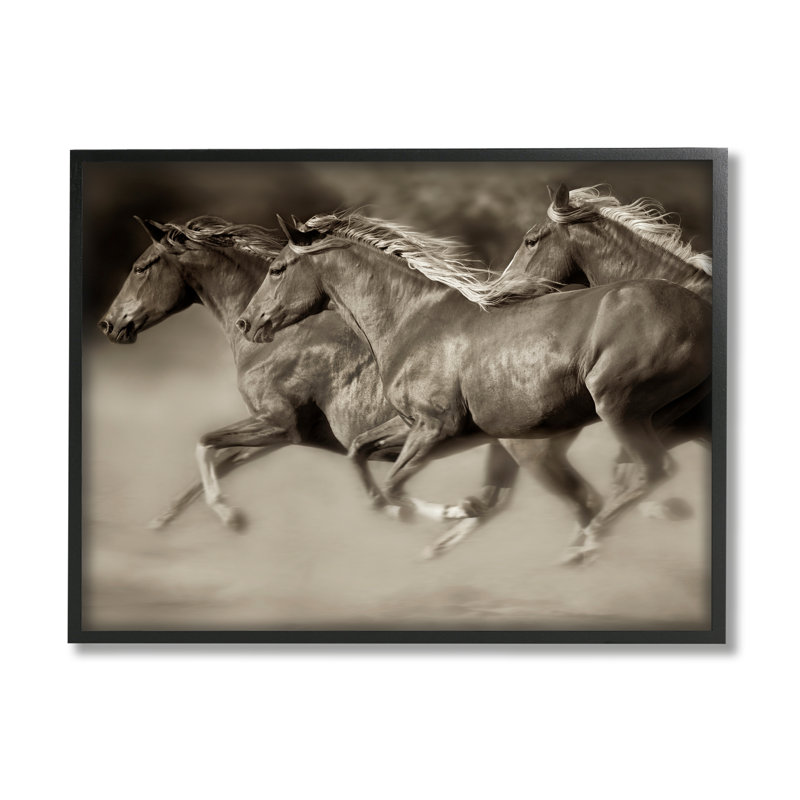 «Galloper Horse Herd Trotter Wild Animal» par Lisa Dearing - photographie à cadre flottant sur toile
