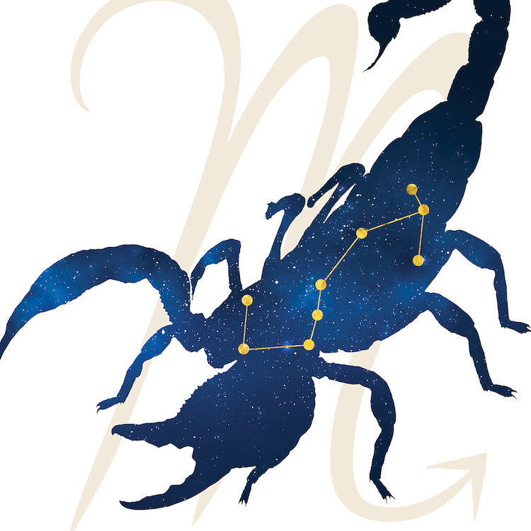Étoiles du Scorpion, impression sur toile tendue, H 26 po x l 26 po x P 1,5 po, Toile tendue, Pas de tapis