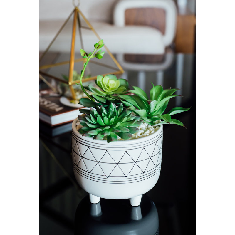 Plante molle artificielle en pot, H 8 po x l 7,5 po x p 7,5 po, Blanc / noir