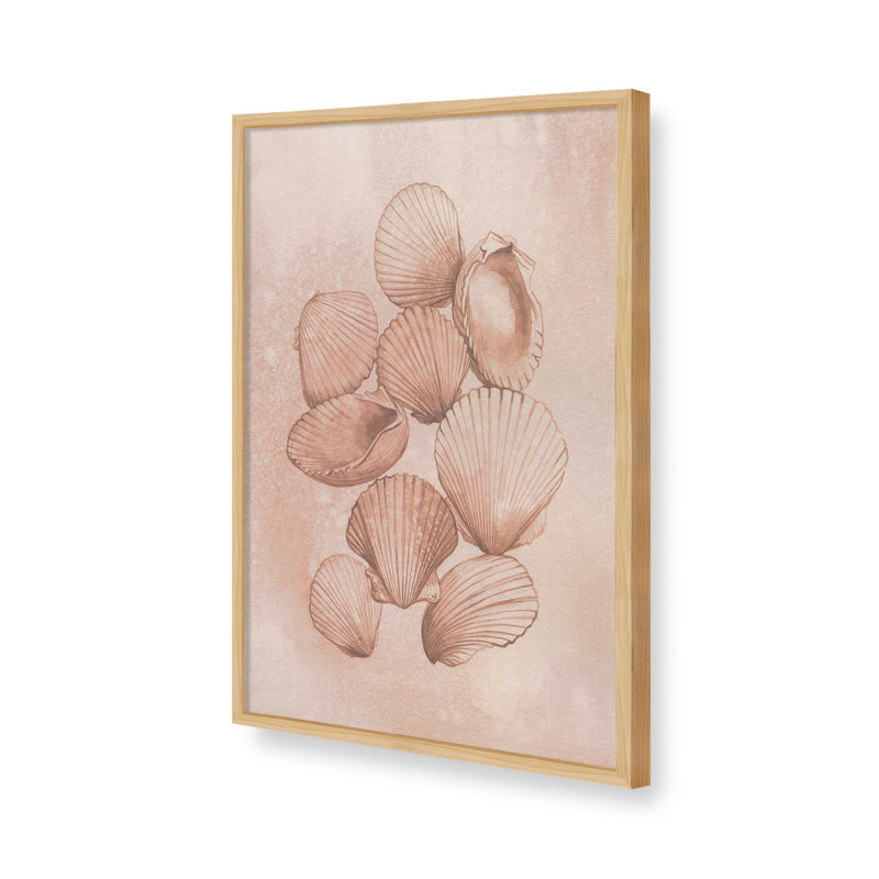 «Saltwater Shell Study II» par Grace Popp, reproduction d'art, H 30 po x l 20 po, Tanné