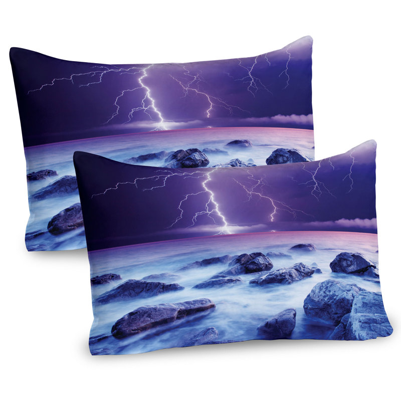 Ensemble de 2 taies décoratives Ambesonne Storm, H 20 po x l 26 po