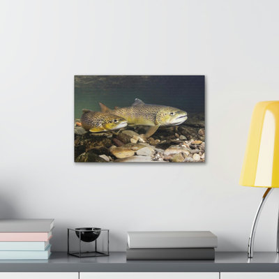 Trout Couple Trout Couple Print Animal Wall Art