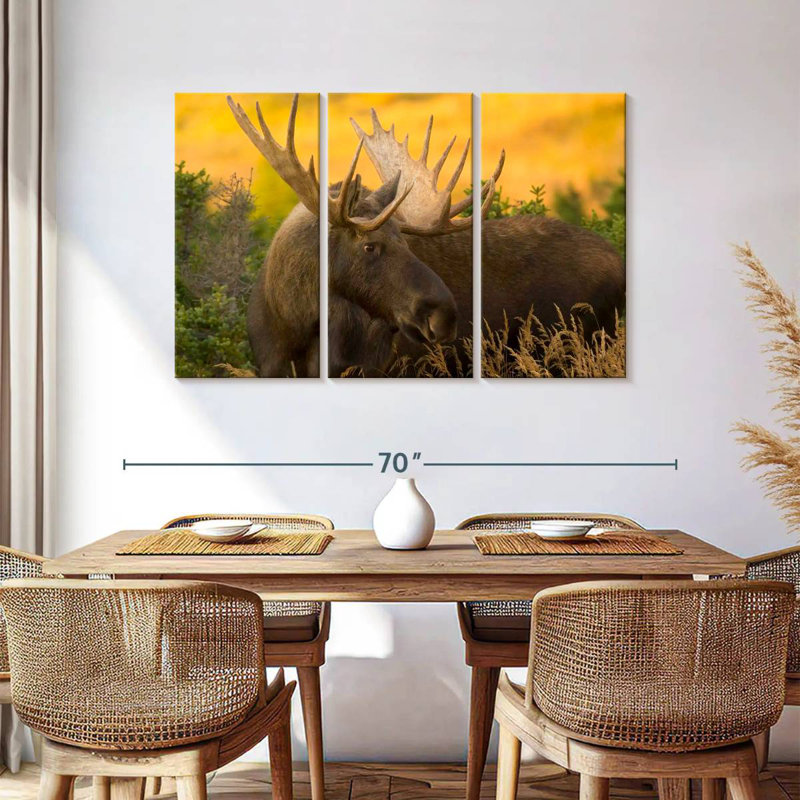 Brampt Chugach Bull Moose, 36" H x 57" W