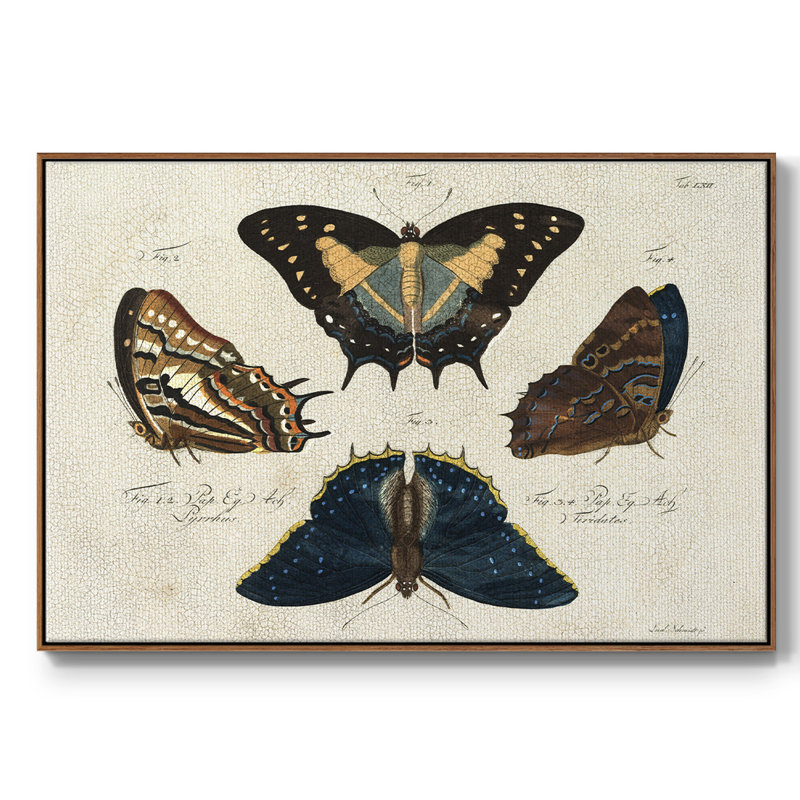 «Crackled Butterflies IV», reproduction d'art sur toile, H 25 po x l 37 po x P 2 po, Noyer