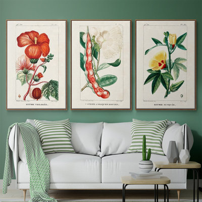 Turpin Tropical Botanicals VI, reproduction d'art encadrée sur toile 3 pièces