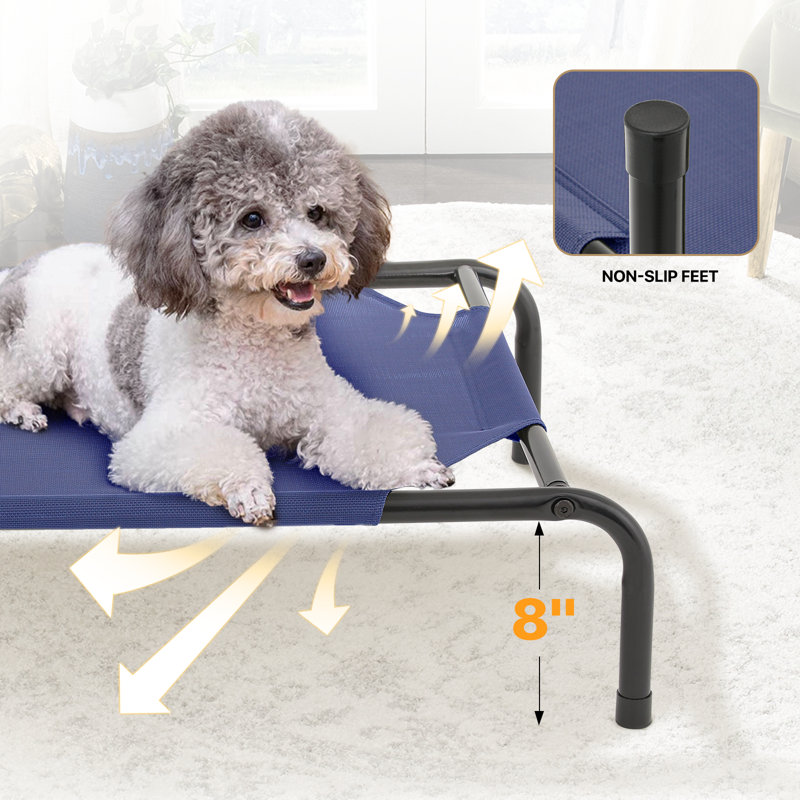 Small Navy Blue Elevated Outdoor Dog Bed with Steel Frame