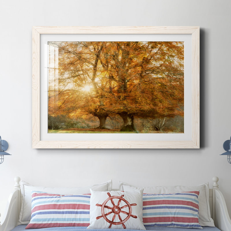 " Couple Of Beeches ", White Framed Paper, 31.5" H x 23.5" W x 1.5" D