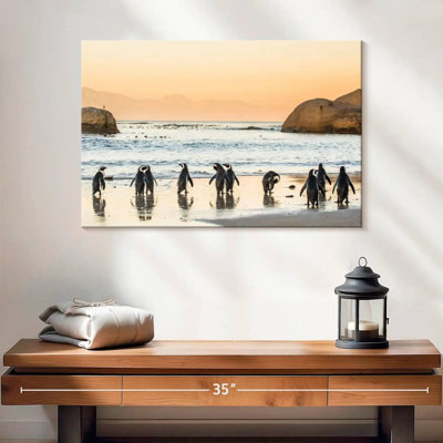 Brampt Penguins On The Shore
