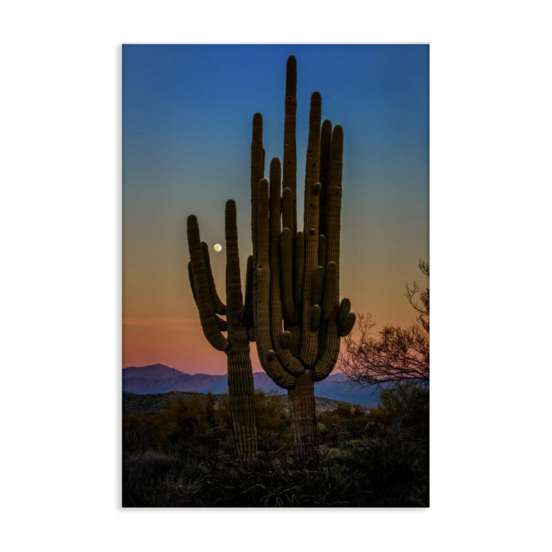 Art mural sur toile silhouettes de cactus avec lune par Rick Berk, H 30 po x l 20 po