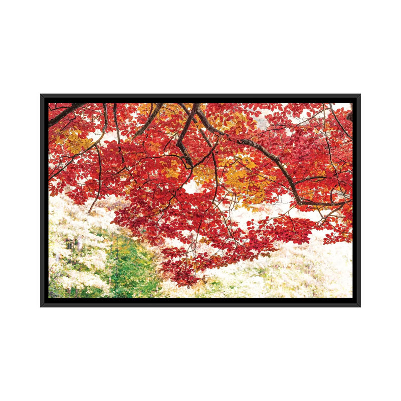 The Red Dome by Philippe Sainte-Laudy - Print on Canvas, 66.04 cm H x 45.72 cm W, Black Framed