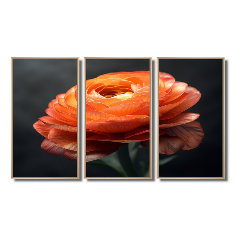 Ensemble de salon art mural orange Renoncule Bloom II - Renoncule, H 28 po x l 36 po x P 1 po