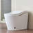 Contemporary Smart Toilet With Bidet Function, Auto Flush System, Automatic Lid Open/Close, Heated Seat Customizable Warmth, Warm Water Wash, Air Dry, Foam , Foot Sensor, Comfort Height Bidet, Flush,-129628779