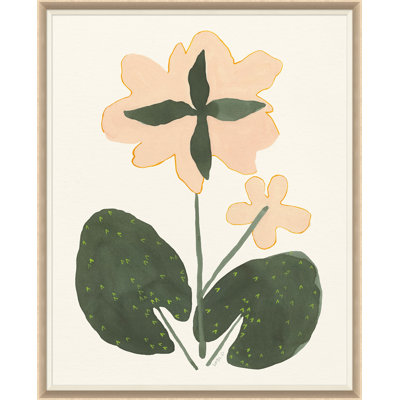 Rose du désert