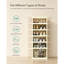12 Pair Shoe Storage