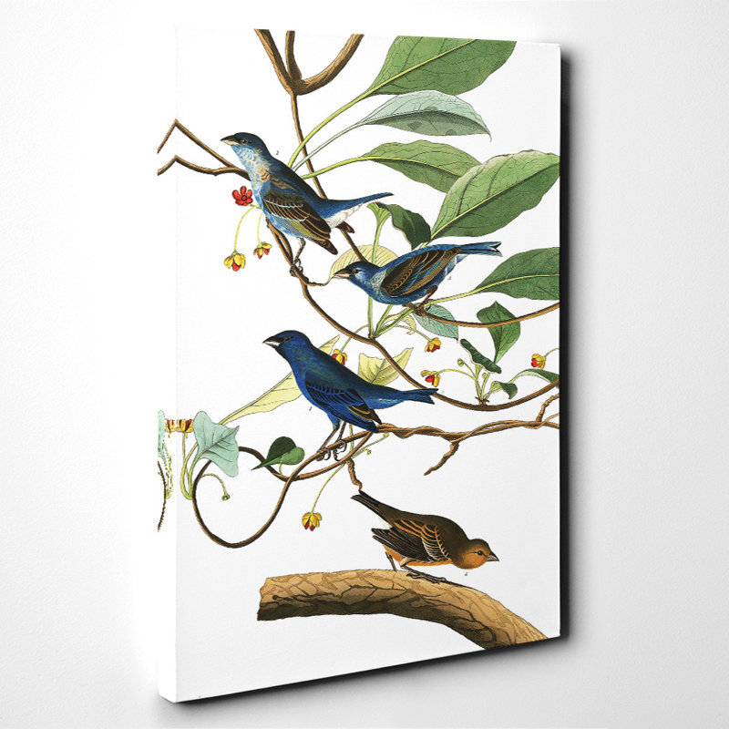 John Audubon - Wrapped Canvas Painting, 100cm H x 70cm W