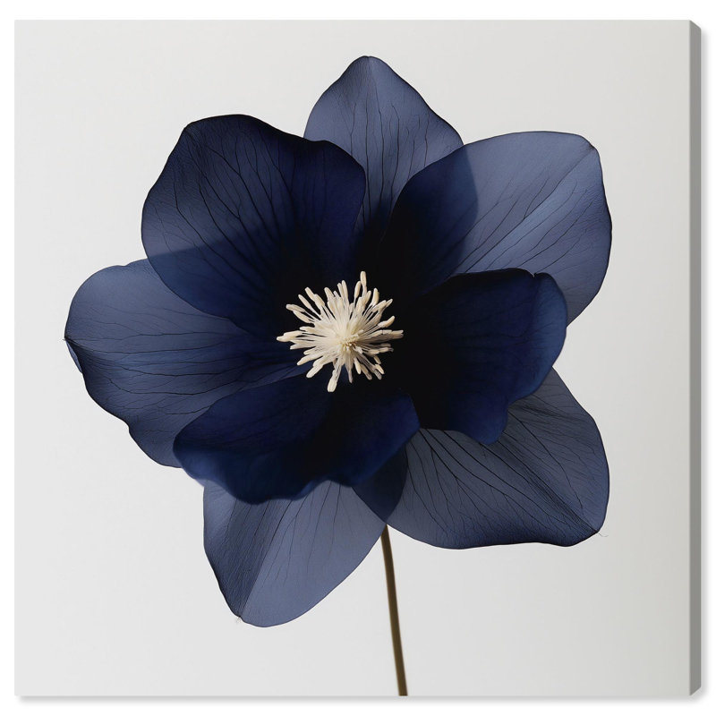 «Night Dal II», art floral bleu sur toile par , Toile tendue, H 40 po x l 40 po