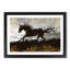 Galloping Horse in Abstract - Framed Print