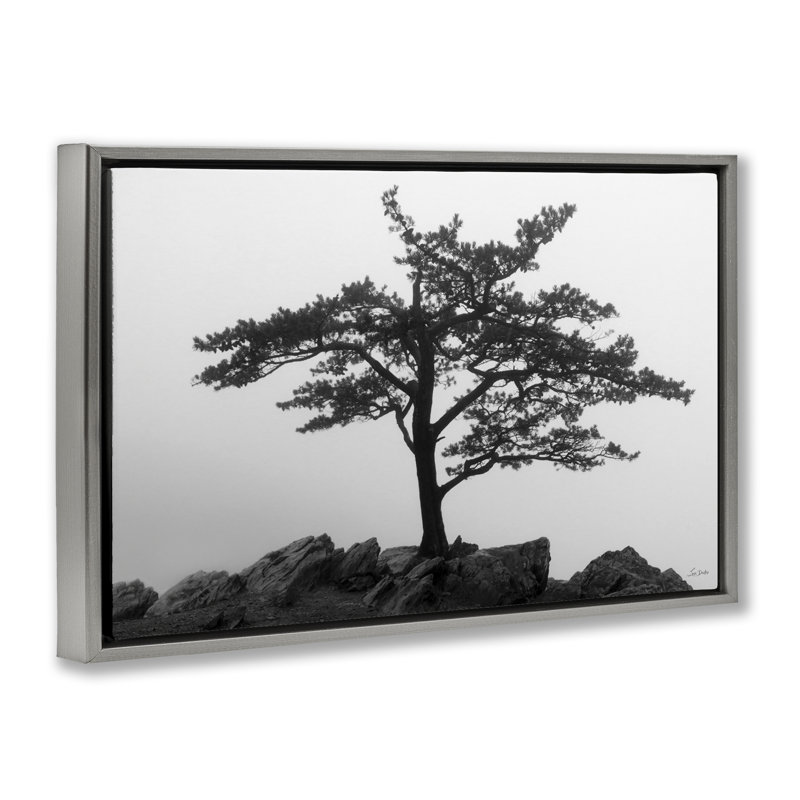 Toile flottante «Lone Tree on Rocks» par Lori Deiter, Cadre flottant gris lustré, H 21 po x l 31 po