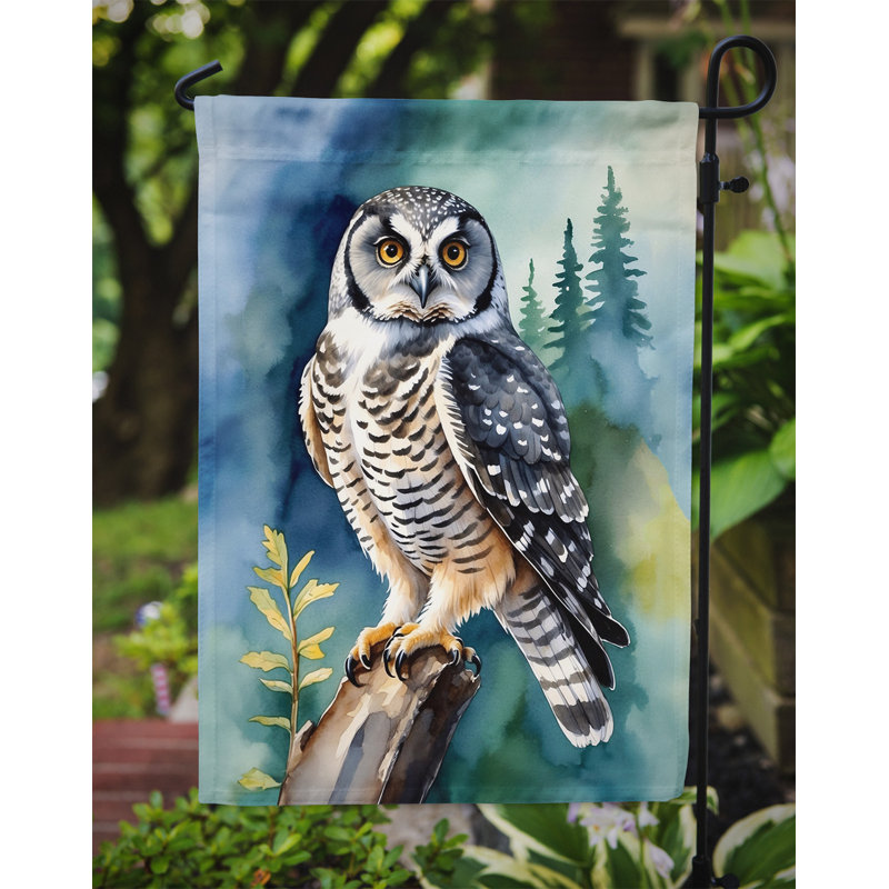 Drapeau de jardin, Northern Hawk Owl