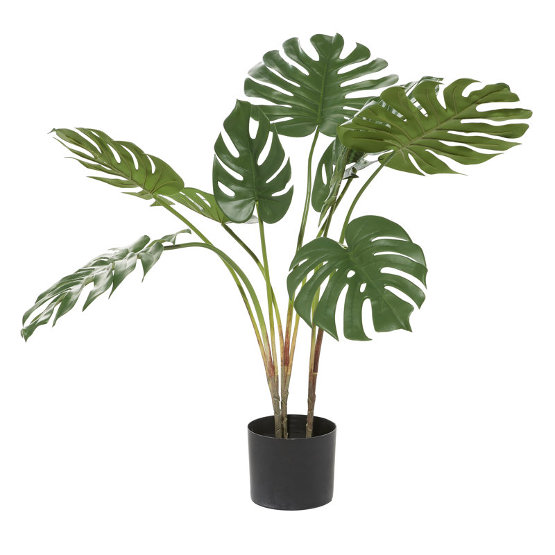 Artificiel fromage suisse plante en pot