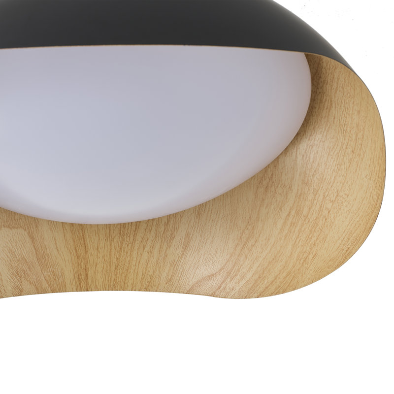 1-Matte black dimmable LED iron Flush mount light