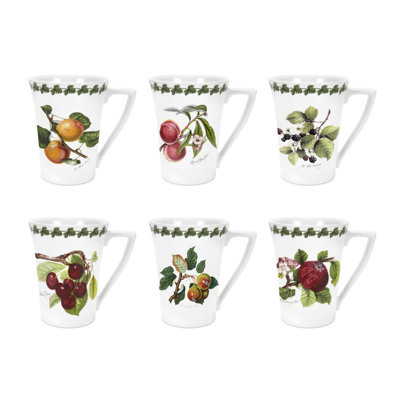 Pomona 6 Piece Mugs Set