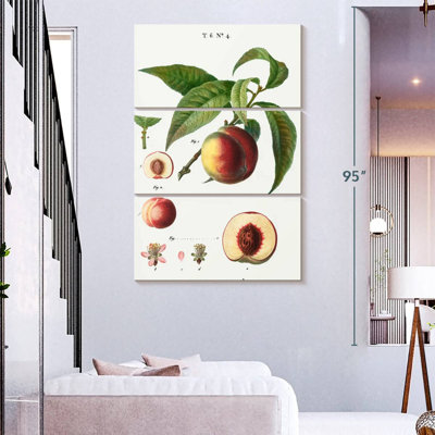 Keiri Peaches Persica Vulgaris II