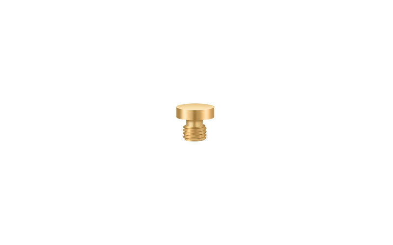 Cabinet Hinge Tip, PVD Polished Brass