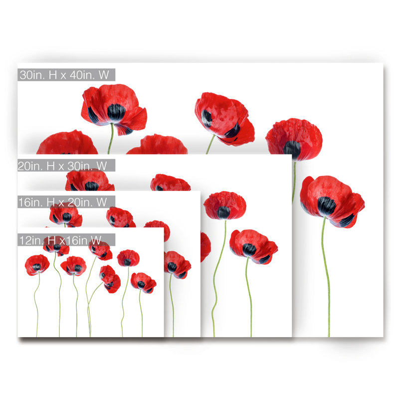 " Ladybird Poppies ", 20" H x 30" W x 1.5" D