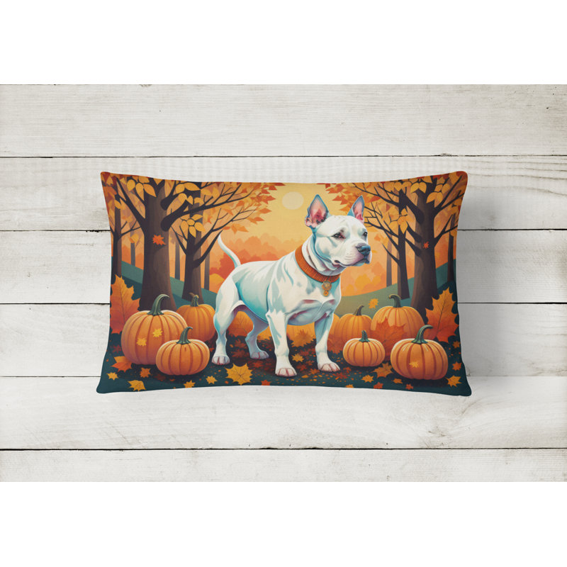 Other/No Pattern Outdoor Throw Pillow