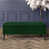 Forest Green Plush Velvet