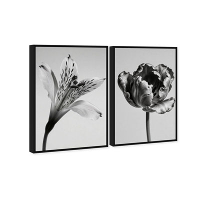 Peeking Flowers Set Set by Oliver Gal