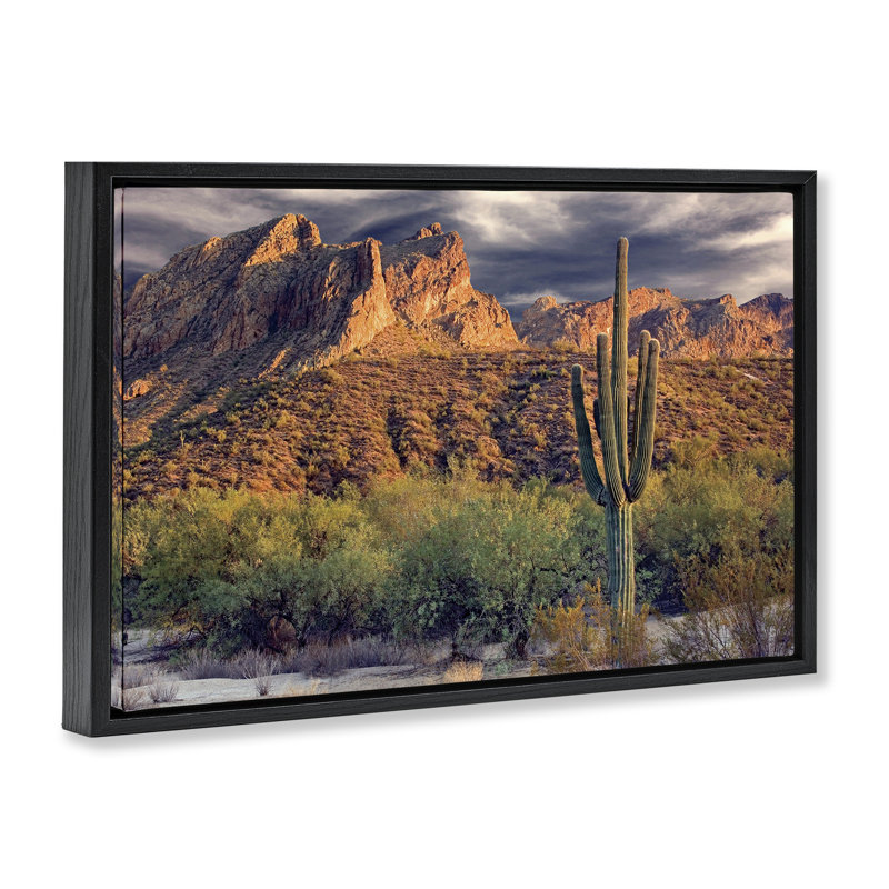 Cadre flottant haut et fort avec vue de cactus, design par Mike Jones, H 21 po x l 31 po, Cadre flottant noir de jais