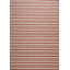 Striped Area Rug in Red/Cream