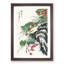 Japanese Hawfinch by Numata Kashu - Picture Frame Painting Print-55770362-55770361