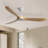 Nicola 60" 3-Blade Ceiling Fan-739208470