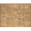 Wool Oriental Area Rug in Beige-72833796