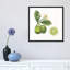 « classic agrumes iii », reproduction d’impression sur toile tendue-27702356-72507473-72507472